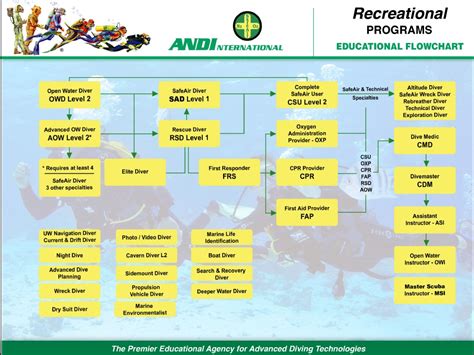 Andi Recreational Programs Flowchart Check Out Our Updated