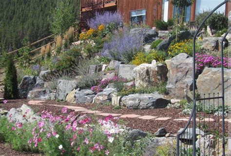 Offering uniqe palette of drought tolerant and pollinator friendly plants. 2015 Habitat Hero Awardee Featured in High Country Gardens ...