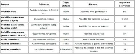 10 Doenças Bacterianas As Principais Doenças Causadas Por Bactérias