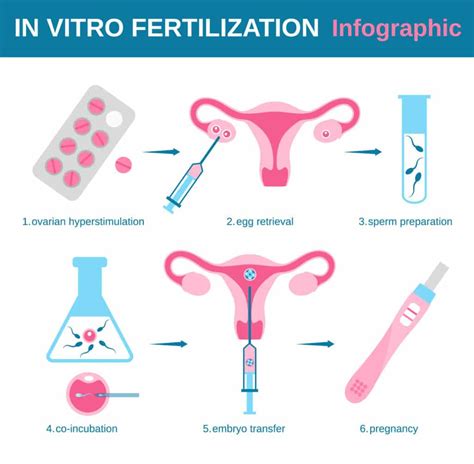 In Vitro Fertilization Unnatural Selection 2022