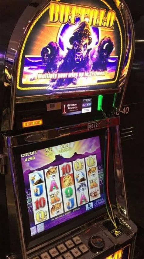The Buffalo Slots Are Popular Here We Understand Why They Pay Big