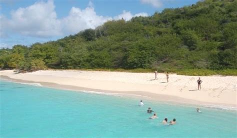 Learn About Turtle Beach St Croix USVI Turtle Beach US Virgin Islands