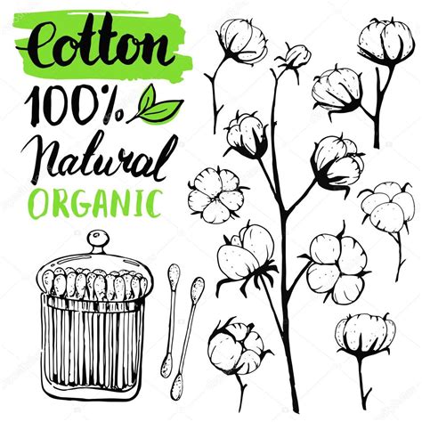 10 Best For Drawing Hand Drawn Cotton Plant Art Gallery