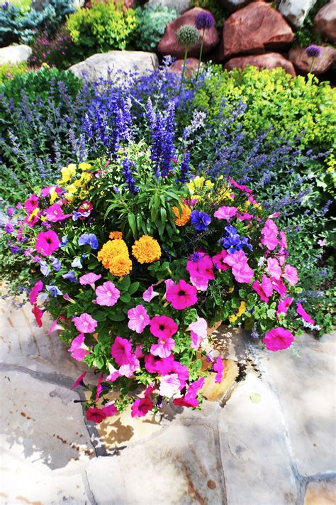 Annual Flower Pots Flower Pot Garden Container Gardening Flowers