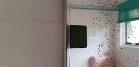Repair Or Replace A Black Edge Desilvering Bathroom Mirror