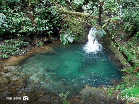 7 charcos profundos para disfrutar en el valle del cauca