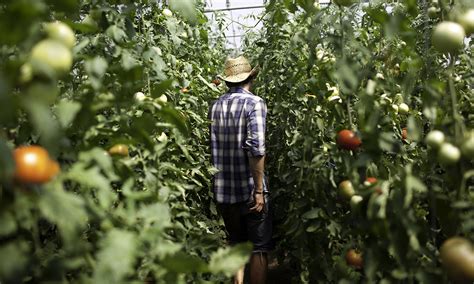 Can Organics Help Rural America Rebound Yes Magazine Solutions