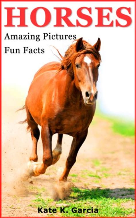 Horses Kids Book Of Fun Facts And Amazing Pictures On Animals In Nature