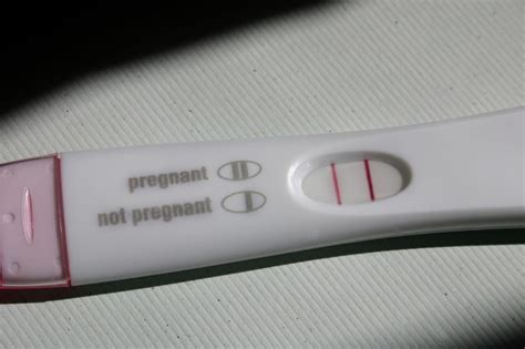 At Home Pregnancy Tests