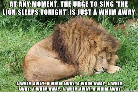 14 Jokes Funny Lion King Memes Factory Memes