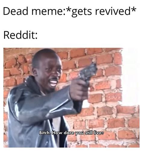 Dead Memes Used To Be Good Memes Rmemes