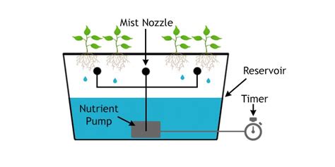 Hydroponic Systems Hydroponics System Hydroponics Hydroponic Growing