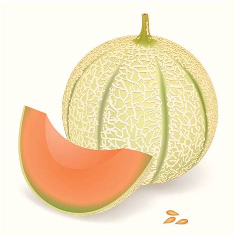 Royalty Free Melon Clip Art Vector Images And Illustrations Istock
