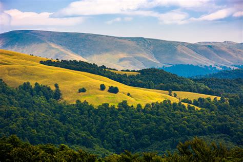 Beautiful Rolling Hills Of Carpathian Mountains Stock Photo Download