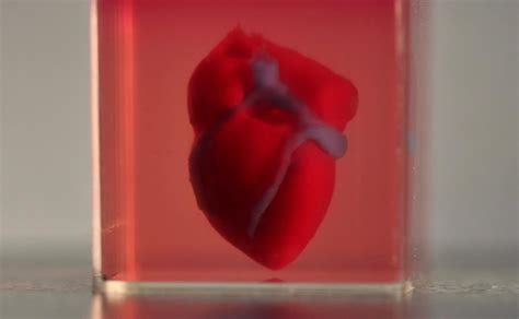 Scientists Unveil Worlds First 3d Printed Heart With Human Tissue