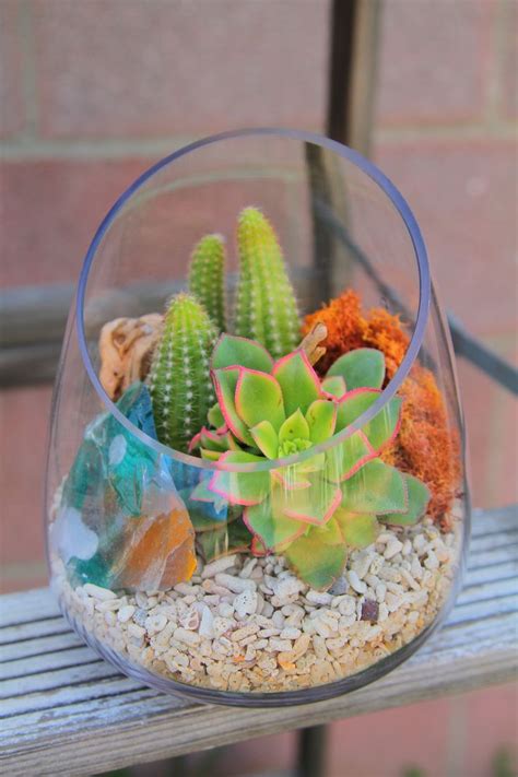 Etsy keeps your payment information secure. 92 best images about Terrarium ( Mini Cactus Gardens ) on ...