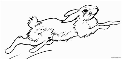 Coloriages  Lapin  Coloriages Gratuits à Imprimer