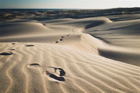 15 Awe Inspiring Photographs Of Dunes Light Stalking