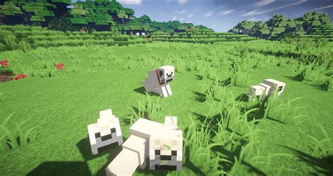 Minecraft Hayleighs Pugs Mod 2021 Download