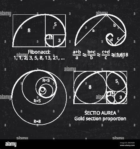 Scheme Of Golden Ratio Section Fibonacci Spiral On Blackboard Vector