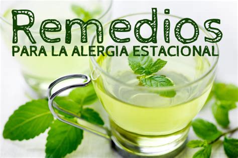 7 Remedios Caseros Para La Alergia Estacional La Guía De Las Vitaminas