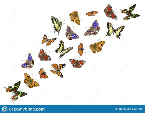 Set Of Bright Colorful Butterflies Flying Butterflies For Design Stock