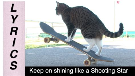 Cat Super Skateboarding Adventure With Lyrics Youtube