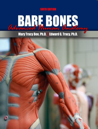 Bare Bones Advanced Human Anatomy Higher Education