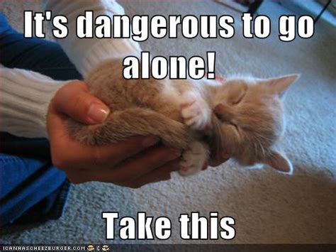 Its Dangerous To Go Alone Take This Lolcats Lol Cat Memes