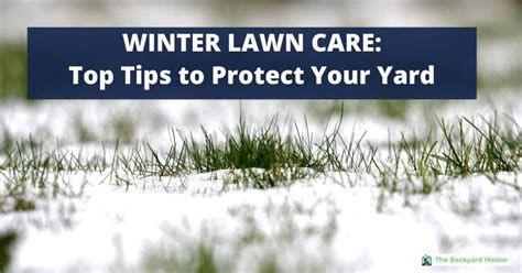 12 Winter Lawn Care Tips To Protect Your Yard The Backyard Master
