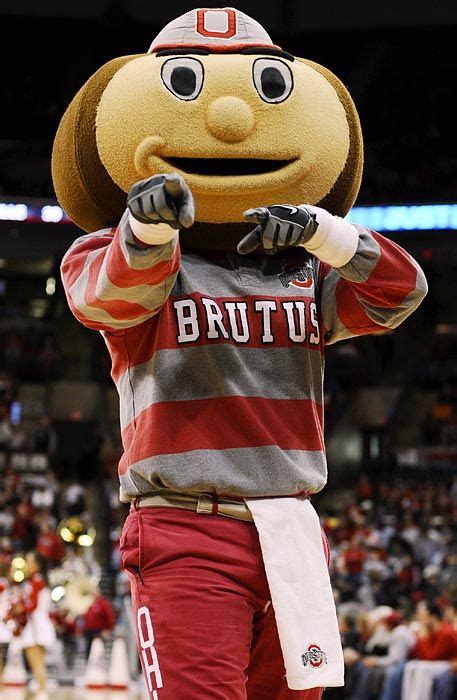 New 1 Ohio State Football Mascot Ohio State Mascot Brutus Sock