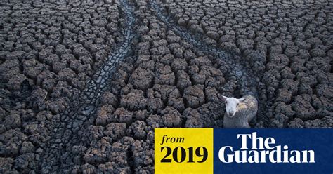 Governments And Firms In 28 Countries Sued Over Climate Crisis Report