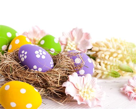 Fotos Ostern Ei Nest Feiertage