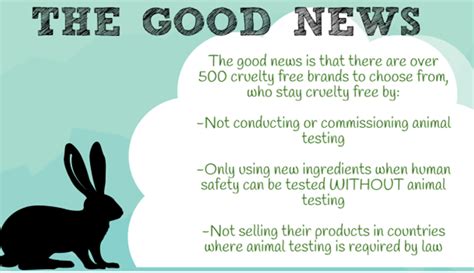 What Is The Importance Of Animal Testing Annahof Laabat