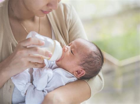 Flesvoeding Geven Op Verzoek Waarom En Hoe Babybytes