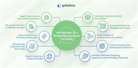 Top 10 Advantages Of A Whatsapp Business Account Gallabox Blog