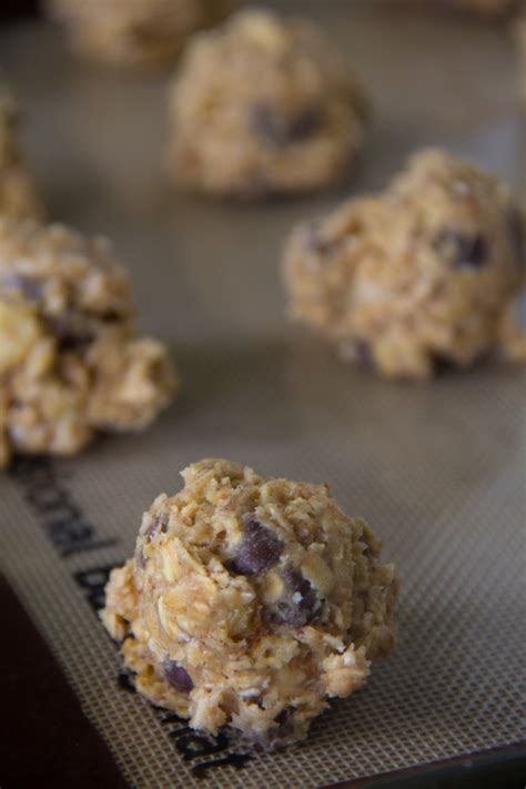 The Best Lactation Cookies Recipe No Breastmilk Included Say Grace