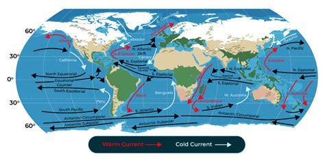 Ocean Currents Meaning Types Causes Effects