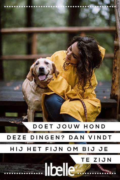 Doet Jouw Hond Deze Dingen Dan Vindt Ie Het Fijn Om Bij Je Te Zijn Met Afbeeldingen Honden