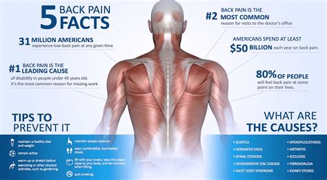 Many of them deny or minimize complaints in order to avoid consequences, such as: Depression Chronic Back Pain | Pain Management Doctors Tijuana