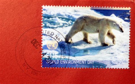 Mail Adventures Polar Bears And More Winter Scenes