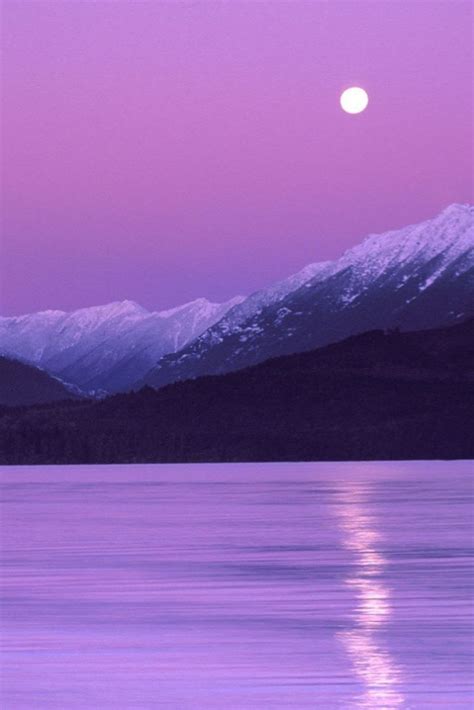 The 30 Most Beautiful Nature Photography Purple Sunset