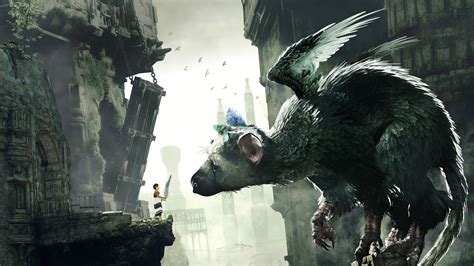 The Last Guardian 4k Hd Games 4k Wallpapers Images Backgrounds