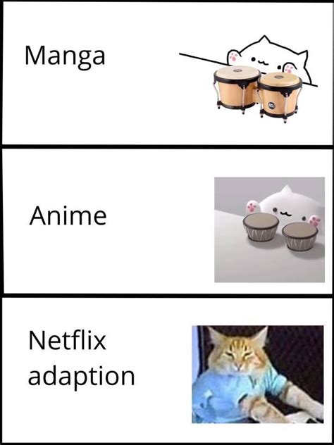 I Really Like The Bongo Cat Meme Bongocat