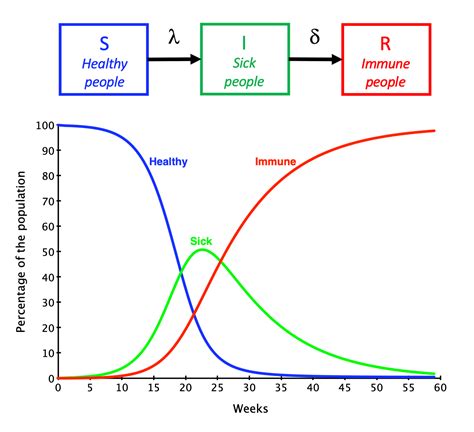 Mathematical Epidemiology How To Model A Pandemic Hot Sex Picture