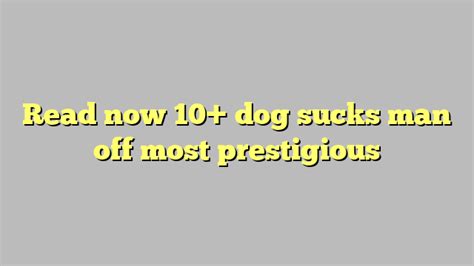 Read Now 10 Dog Sucks Man Off Most Prestigious Công Lý And Pháp Luật