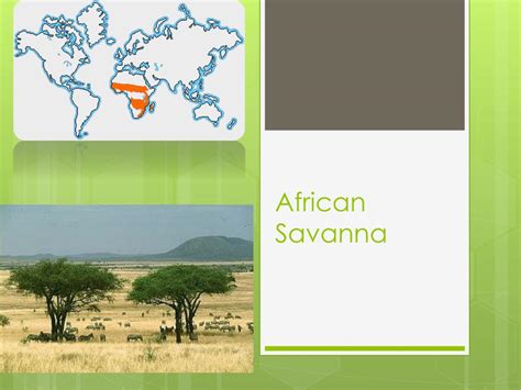 Ppt African Savanna Powerpoint Presentation Free Download Id3075128