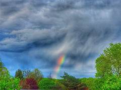 Lehighvalley Ramblingslibrary Detail