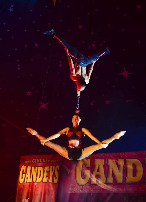 400 Aerial Circus Acts Ideas Aerial Circus Acts Circus