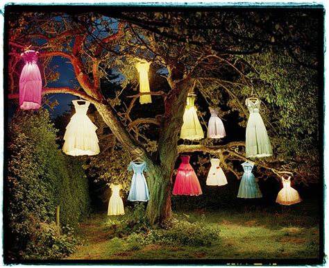Tim Walker Artist News And Exhibitions Photography